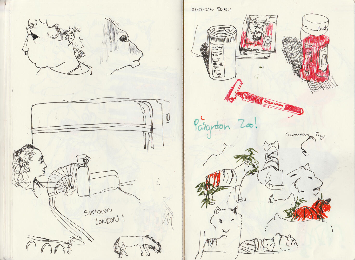 parts from my trip to london, my first days in dawlish warren, and also paignton zoo