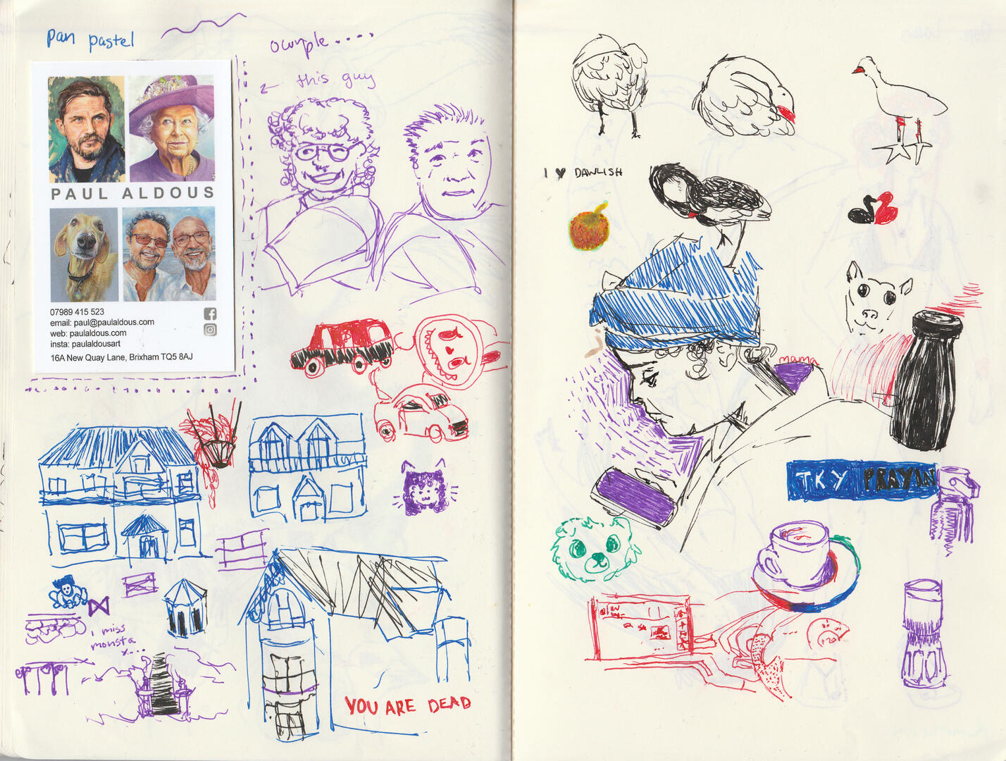 parts of my trip to dawlish warren in devon